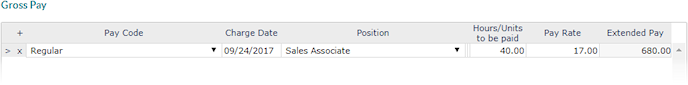 example setup in the Gross Pay panel